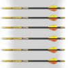 Стрелы карбоновые MAYHEM 250 FUSION VANES ( 6 штук )