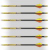 Стрелы карбоновые MAYHEM Hunter 250 FUSION VANES. Кликните для просмотра в большом размере.